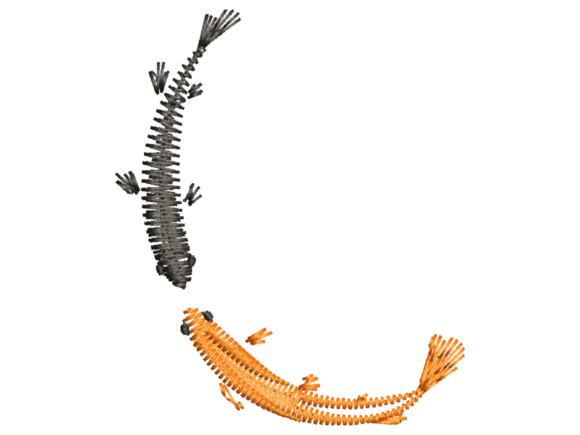 Download Minimal Koi Yin Yang Embroidery - Embroidery Collection
